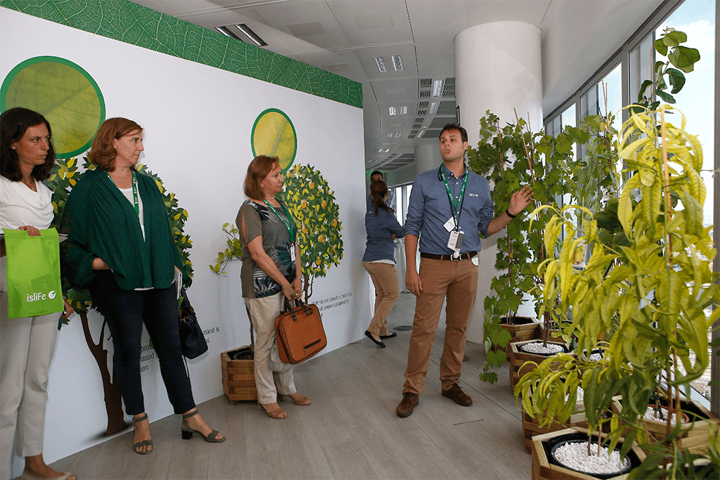 TRADECORP PRESENTACIÓN DE MARCA INNOVACIÓN Y SOSTENIBILIDAD. Presentación internacional de la nueva marca y producto sostenible y eficiente.